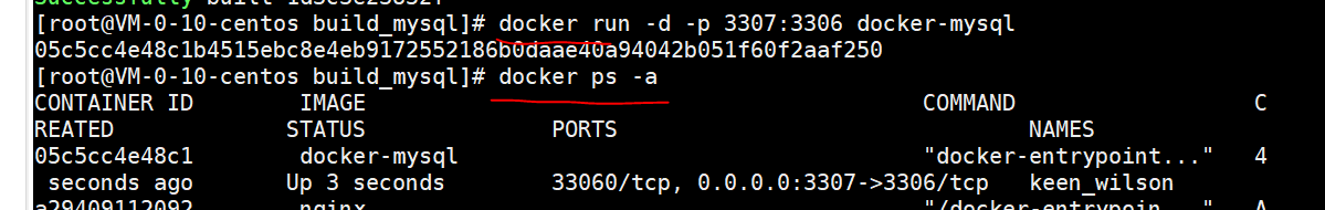 docker_run